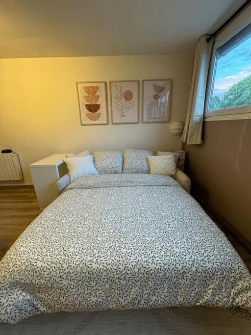 Studio Cosy Au Coeur Du Haut-Jura Foncine-le-Bas エクステリア 写真