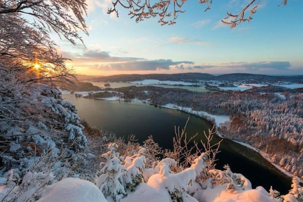 Studio Cosy Au Coeur Du Haut-Jura Foncine-le-Bas エクステリア 写真